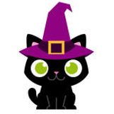 Team Page: Hocus Pocus